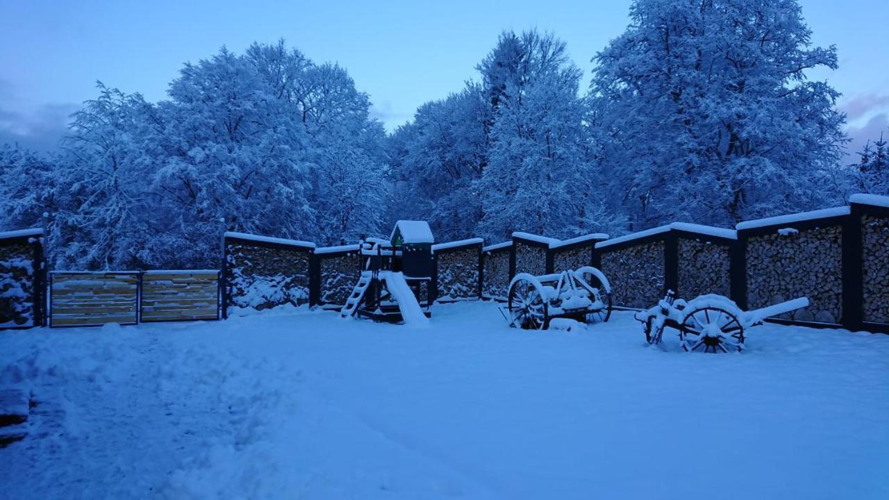 Agroturystyka Gesiniec Stare Osieczno Villa Exterior photo