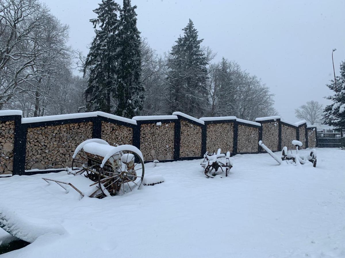 Agroturystyka Gesiniec Stare Osieczno Villa Exterior photo