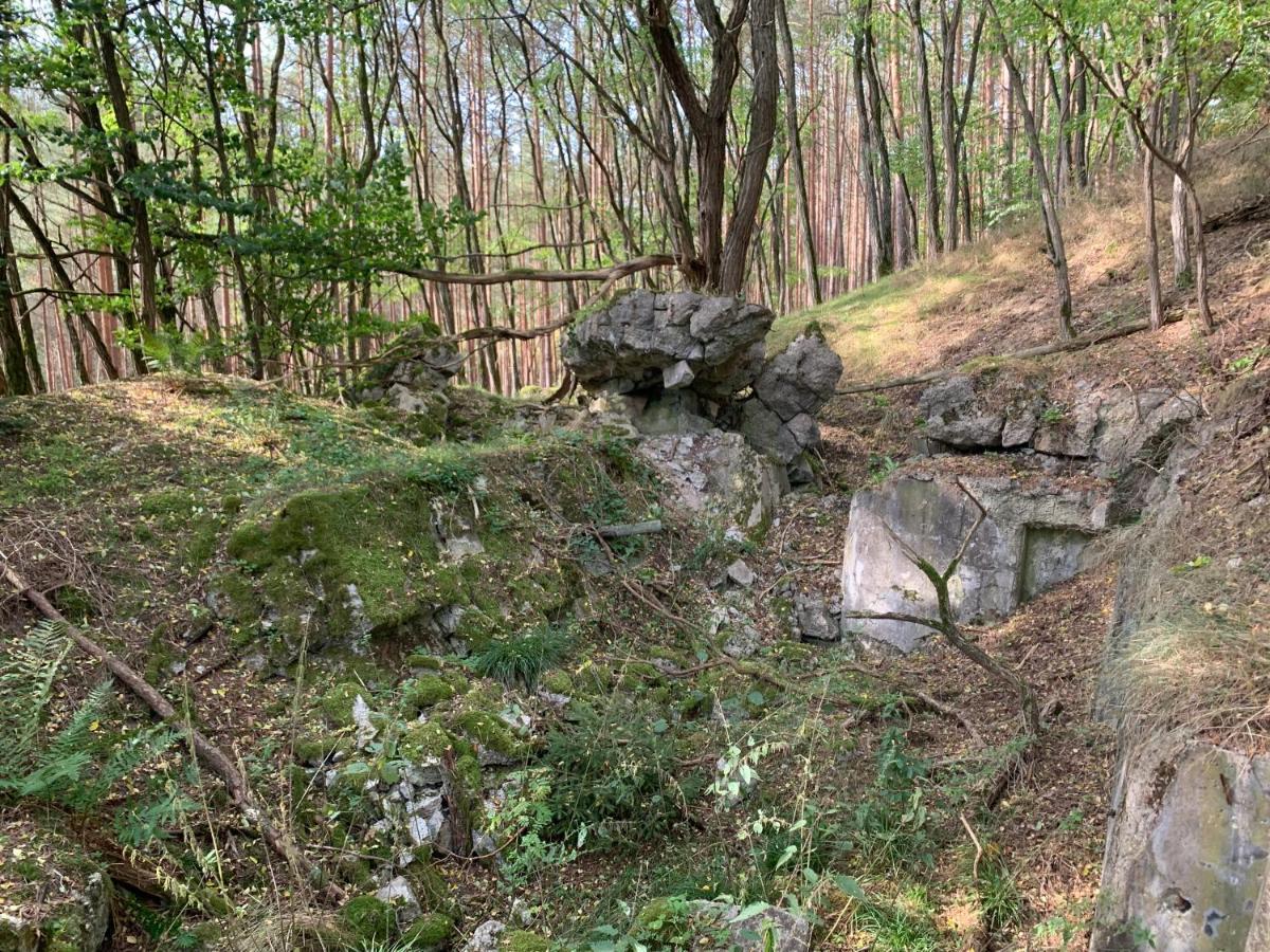 Agroturystyka Gesiniec Stare Osieczno Villa Exterior photo