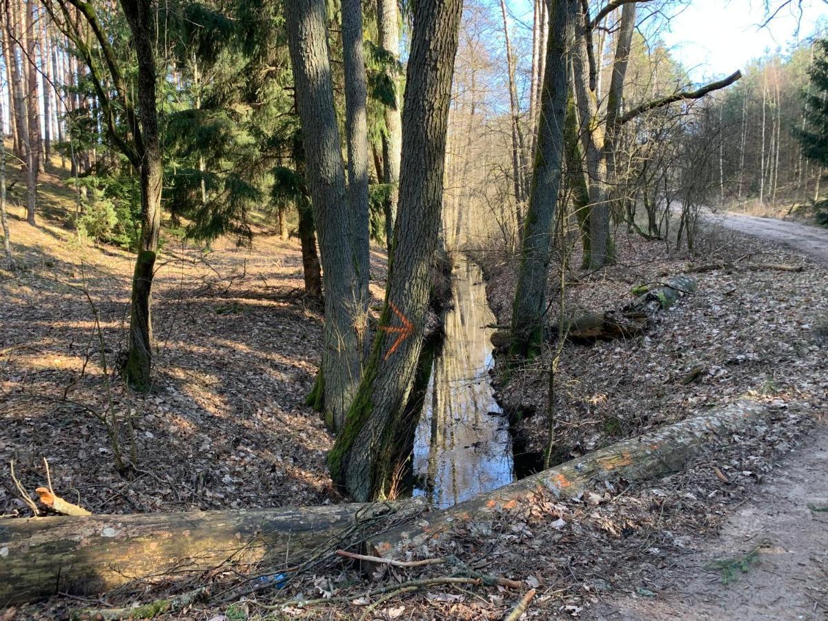 Agroturystyka Gesiniec Stare Osieczno Villa Exterior photo